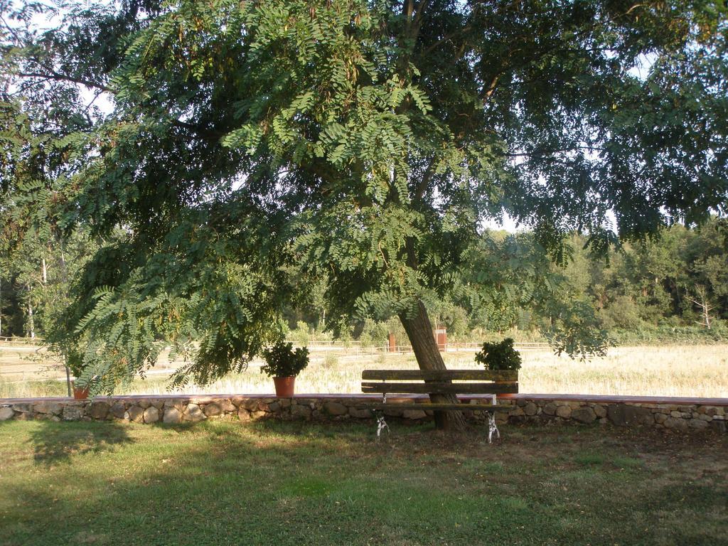 هوتل ماس فيلالونجا بيتي Cassà de la Selva المظهر الخارجي الصورة